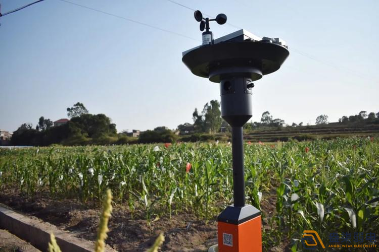 成都弱電公司—智能蟲情測報系統，保障植株安全